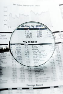 保定同志供卵选性别：nt值偏高风险大吗下一步检查什么？